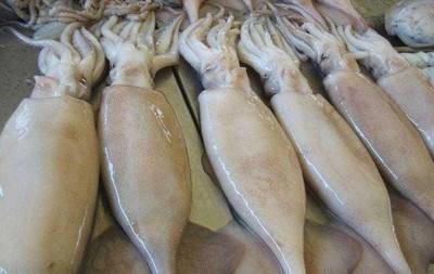 1599104484108465.jpg 1599104484108465.jpg