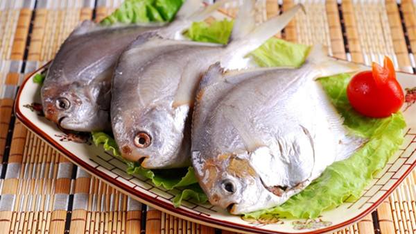 1599104492341758.jpg 1599104492341758.jpg