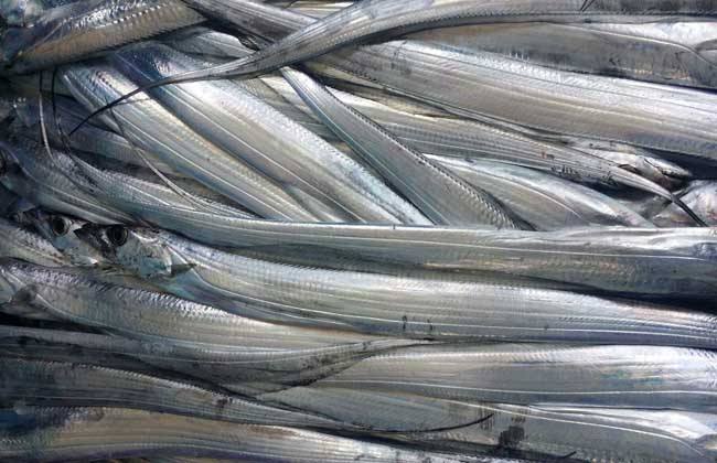 1599104583587383.jpg 1599104583587383.jpg